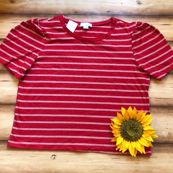 Ten Sixty Sherman Tops - Ten Sixty Sherman striped crop top. NWT.
